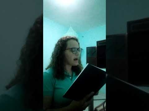 No monte  a bandeira - Hino 04 SUD