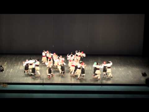 16. evropska smotra SKUD VIDOVDAN LJUBLJANA-SLOVENIJA