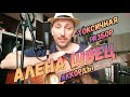 Как играть Алену Швец Токсичная на гитаре.Аккорды.Бой
