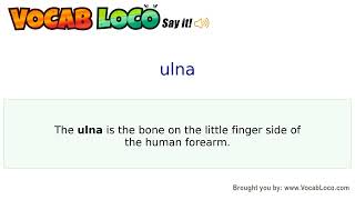 Video thumbnail for ulna