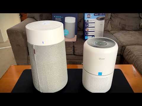 This or That BLUEAIR vs. LEVOIT Air Purifiers