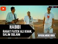 Rahat Fateh Ali Khan Salim Sulaiman Habibi Official Video Hindi Songs Revibe