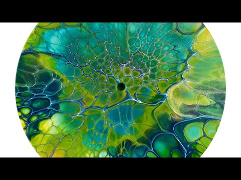 048 - Shallow Waters / Spin Bloom / #sheleeart