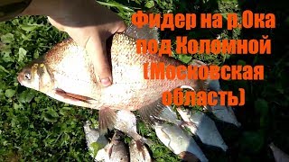 Рыбалка на оке зимой в коломне