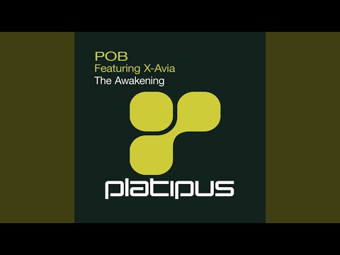 The Awakening (Quietman Remix) feat. X-Avia
