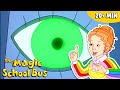 Sight Smell Hearing Taste Touch Science Of The Senses The Magic School Bus