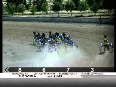 08/06/2012, Foggia , Premio Fasano