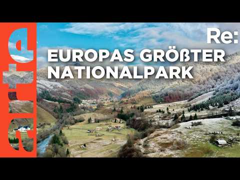 Video Thumbnail: Europas größter Nationalpark in den Karpaten? | ARTE Re: