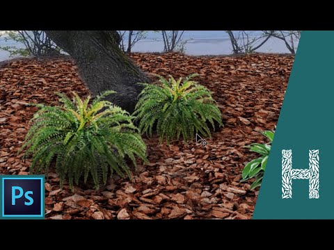 Adobe Photoshop основы знакомство с программой