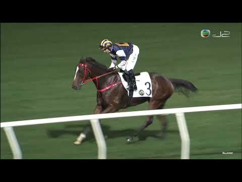 22/12/2021 (272) 過河勁卒 (C381) 波健士