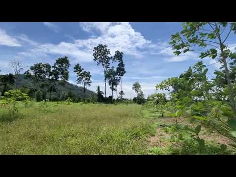 Charming 7.5 rai with mountain view land for sale in Thai Mueang, Phangnga