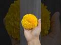 #marigoldflower 💛#diy #easyflowermaking #flowercraft #paperart #shorts#onam celebration flower