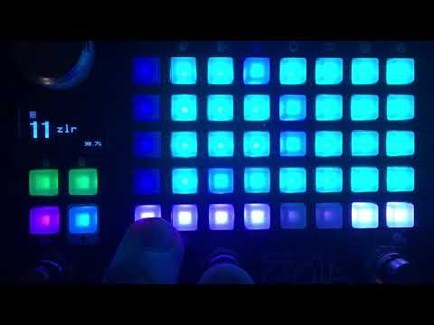 Empress ZOIA patch walk-through:  "zlr -- a ZOIAN adaptation of the Norns mlr"