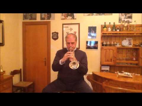 Santino Torre - Hommage a Maurice Andrè - Cadenza Del Concerto in Mib Maggiore -Di - Joseph Haydn