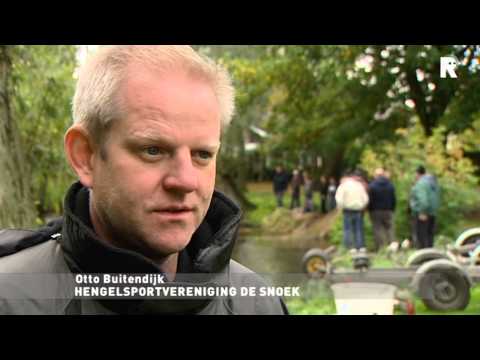 Rijnmond Nieuws - 17 oktober 2012