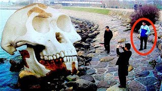 13 Strange Post-Tsunami Findings