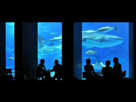 Rauschfaktor - Aquarium Café