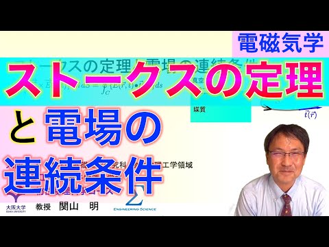 ンゴロンゴロのダチョウのカップル