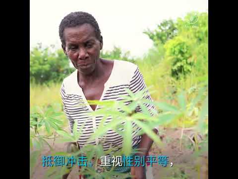 提高小农恢复力