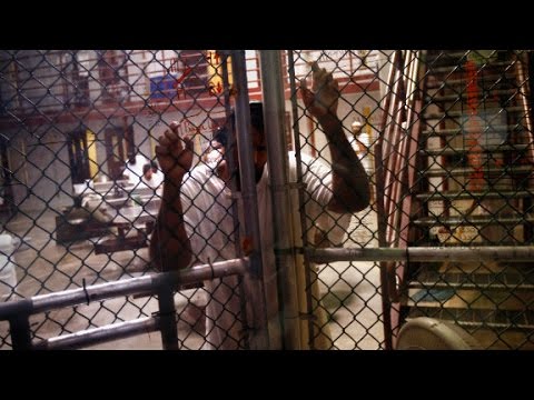 Can U.S. military refuse illegal orders from president?