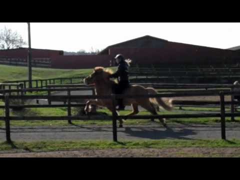 FIZO Kronshof 2011 - RE 2 - www.isibless.de