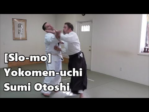 Slo-mo [02/13/16] Yokomen-uchi Sumi Otoshi
