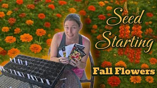 Easy To Grow Fall Flowers - Seed Starting Fall Flowers