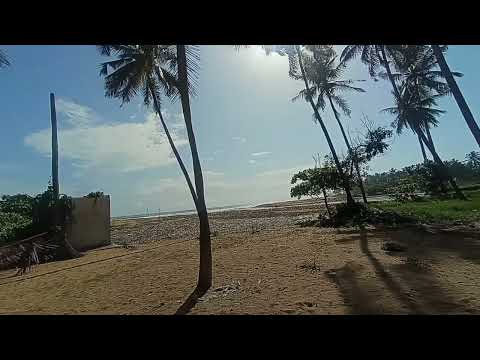 Nature 🏝️love #ungavittupillaijeevan @Jeevan mari