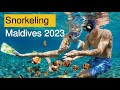 Snorkeling Maldives 2023 Treveler Regan