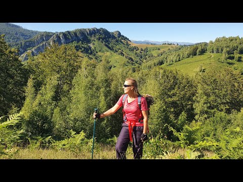 Râmânuți Gorges (Cerna Valley)