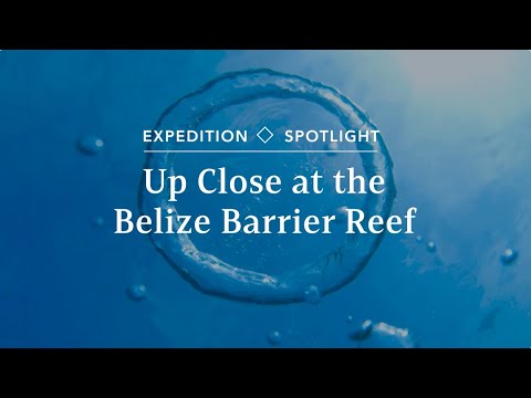 Exploring the Belize Barrier Reef | Expedition Spotlight | Lindblad Expeditions