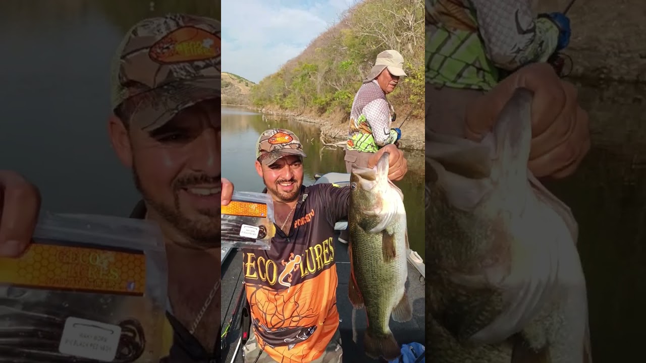 Captura por PONCHITO'S BASS CLUB