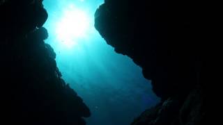 Tomorrow's Harvest - Boards Of Canada - Semena Mertvykh