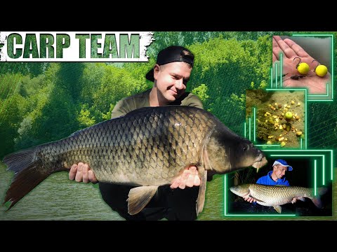 Rokolya Péter - Visszatérés a Solti Kisdunára