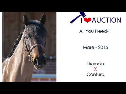 All You Need- H Jumping