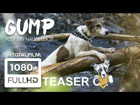 Gump - pes, který naučil lidi žít (2021) oficiální HD teaser trailer