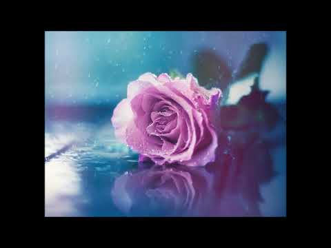 Koj Hloov Ua Tus Tshiab-Maiv Lis Thoj (Instrumental)