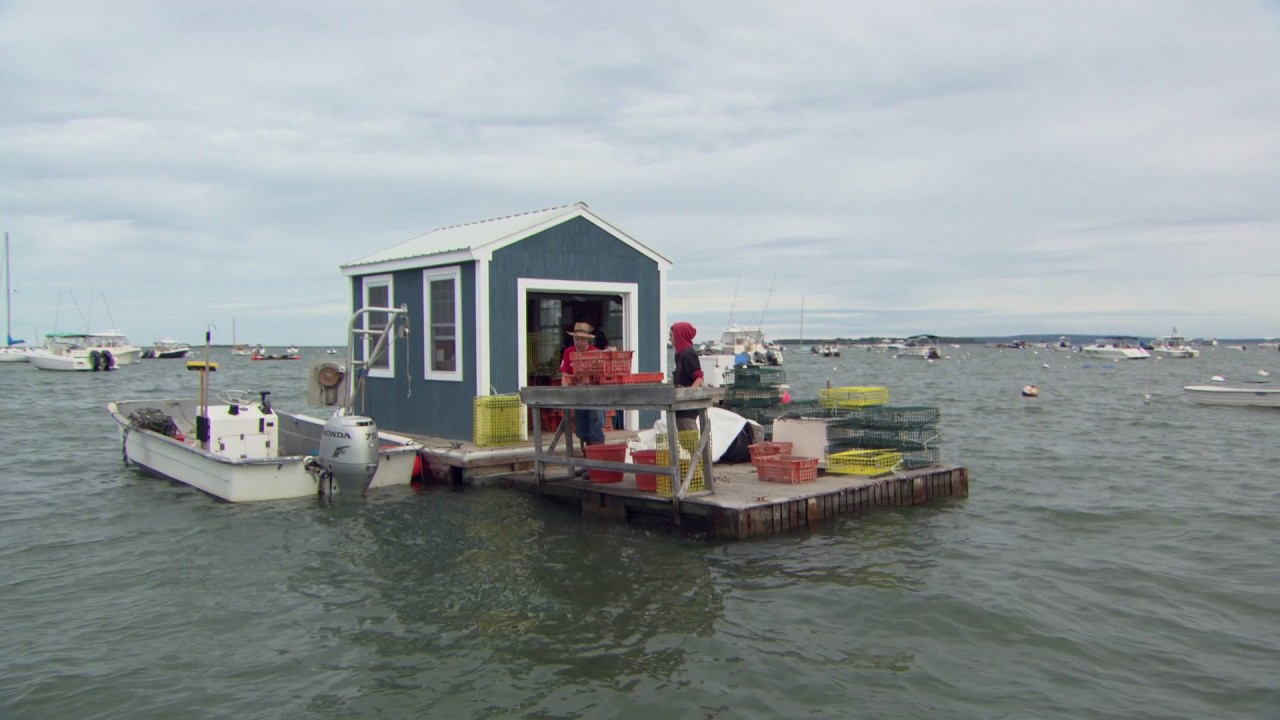 Vp Module3 Re-Submergence