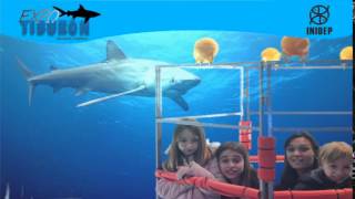 DIA 3 Expo Tiburon74