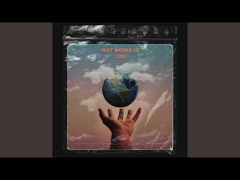 Wat Nodig Is (feat. Max Wallin')