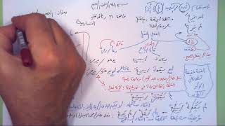 صورة 31 ➤   النصب والجزم