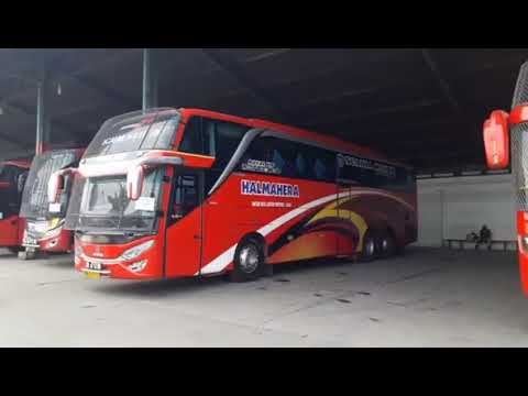 Keren Kali Bus Halmahera dan Bus Makmur di Medan