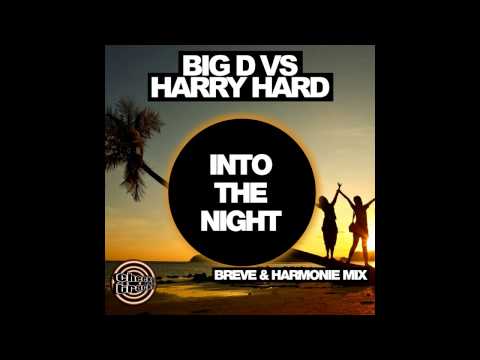 Harry Hard, Big D - Into The Night (Breve & Harmonie Remix) [Cheeky Tracks]