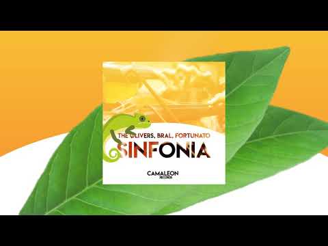 The Ølivers, Bral, Fortunato - Sinfonia (Original Mix)