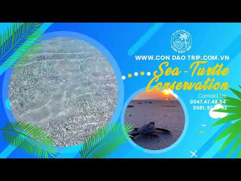 Côn Đảo Trip - Du lịch Côn Đảo khám phá và trải nghiệm Côn Đảo