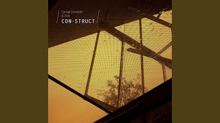 Drachenbäume sind friedliche Wesen