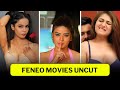 Feneo Movies Web Series List Feneo Movies Uncut Web Series Names With Photo OTT Masala