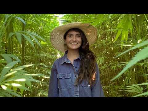 Alejandra Diaz: Hemp Advocacy and Education, and Hemp Fortex