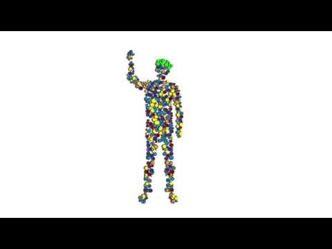 WHAT IS HEMIPLEGIA? An animated film