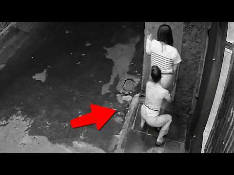 Geheimes Nachtleben, das auf Kamera festgehalten wurde